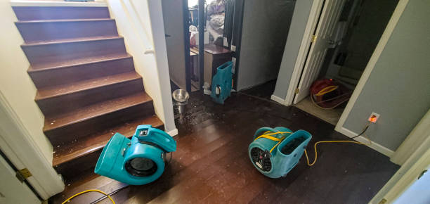 Best 24-hour water damage restoration  in Goodwater, AL
