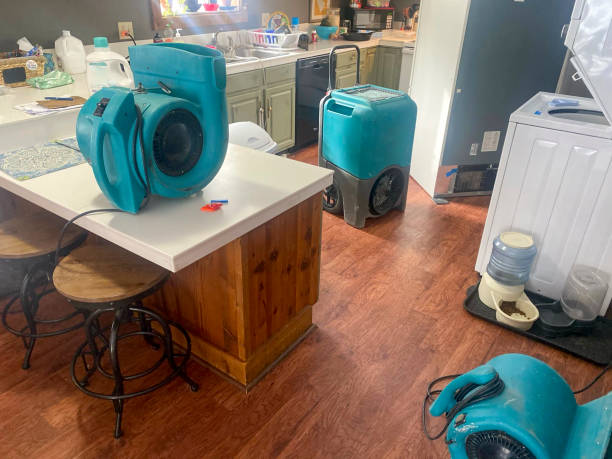 Best Mold removal after water damage  in Goodwater, AL