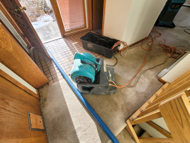 Best Water damage restoration experts  in Goodwater, AL