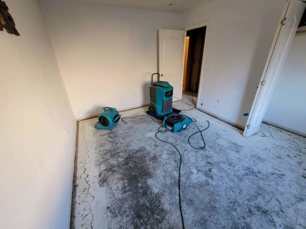 Best Ceiling water damage repair  in Goodwater, AL