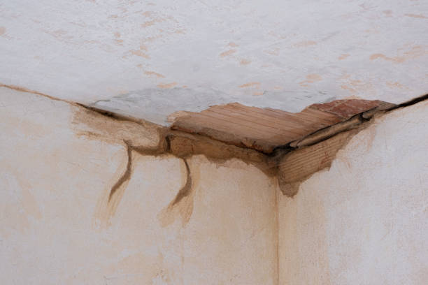 Best Residential water damage restoration  in Goodwater, AL