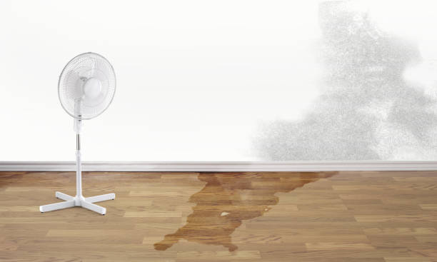 Best 24/7 water damage repair  in Goodwater, AL