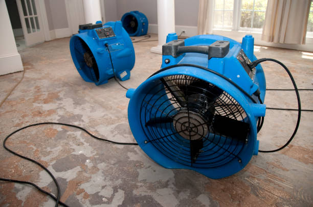 Best Flood damage cleanup  in Goodwater, AL