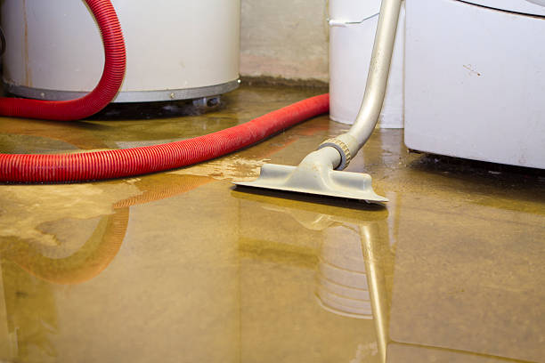 Best Commercial water damage restoration  in Goodwater, AL