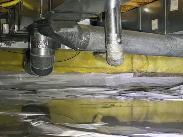 Best Flooded house restoration  in Goodwater, AL