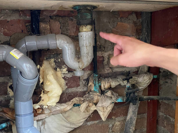 Best Local water damage restoration  in Goodwater, AL