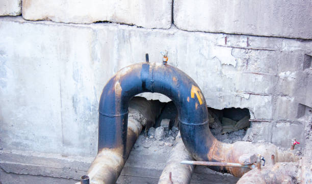 Best Water damage cleanup near me  in Goodwater, AL